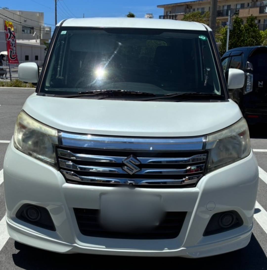 害虫ブロックを施工した車の正面